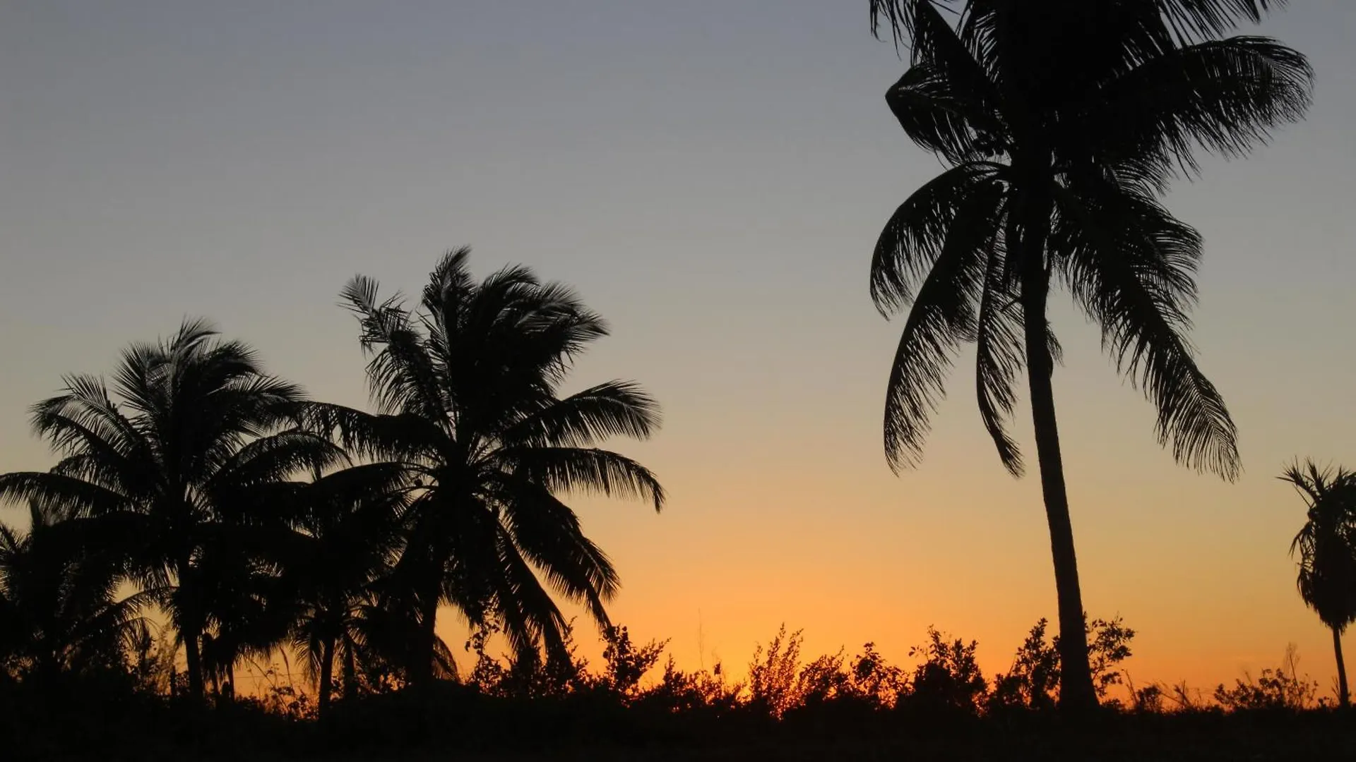 Hotel Ikarus Costa Mujeres Eco Lodge Sunset View Cancun